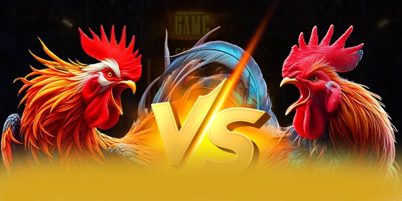 Nền tảng trên điện thoại di động cùng BET88