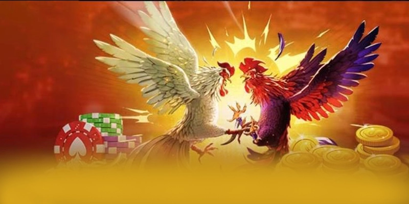 Nền tảng trên điện thoại di động cùng BET168