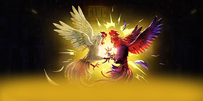Đánh giá FB88 - Cổng game bài phổ biến nhất tại Việt Nam