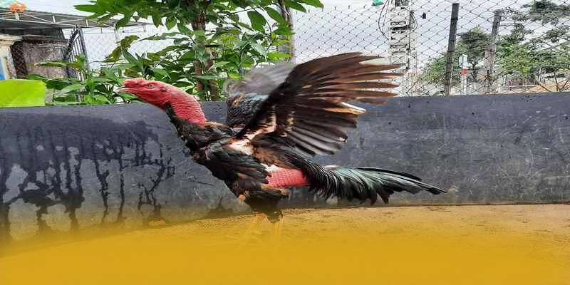Quy trình giao dịch nhanh chóng và an toàn tại SUNWIN